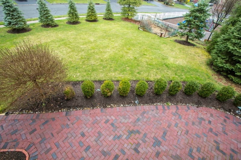 Lafayette Watch - Residential