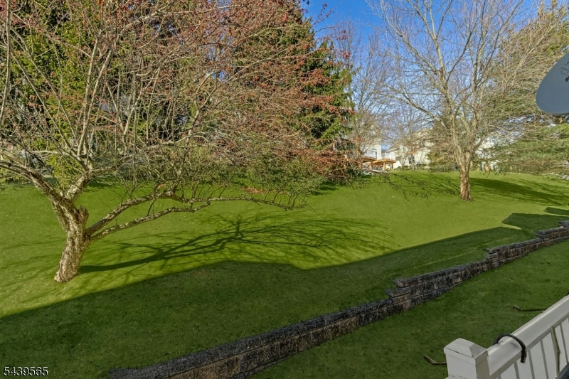 Mountainview at Green Brook - Residential