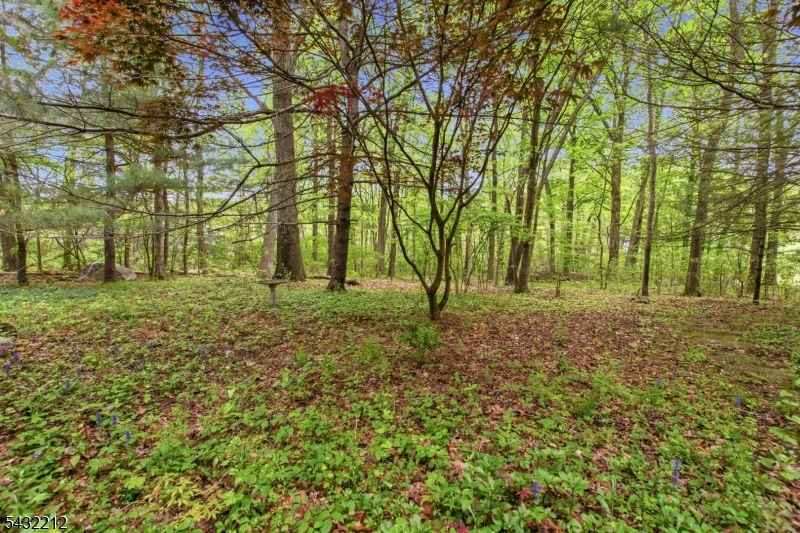 Lower West Milford - Residential