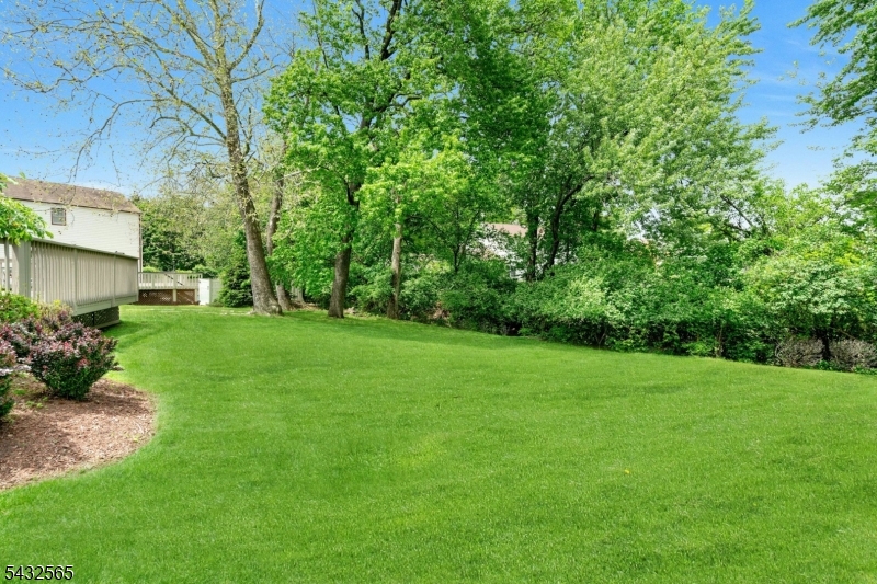 Park Hill - Residential