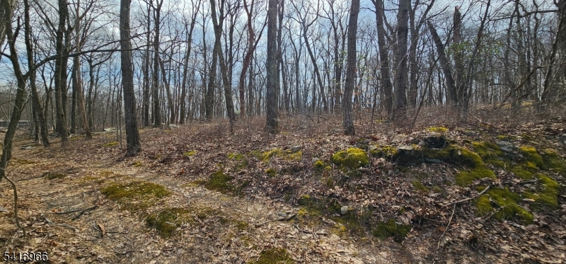 Beautiful lot, ADJACENT TO STATE LAND on 2 sides. Lightly wooded, formerly used as a Scout camping area, residential neighborhood. Buyers do your due diligence on requirements to build. Nice spots to site a house. Requires septic and well. Very accessible to amenities, schools, restaurants, etc. Rt 46, Rt 80 or Rt 23 in easy reach, great for commuters. More information to come.