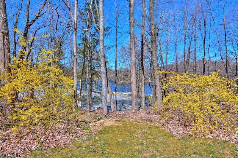 Lake Saginaw - Residential