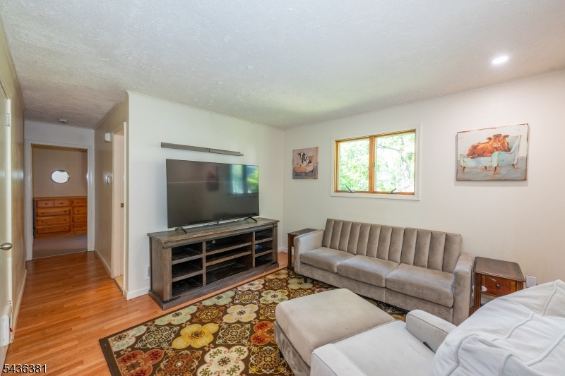 Lake Saginaw - Residential