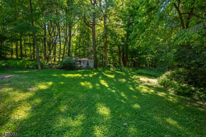 Lake Saginaw - Residential