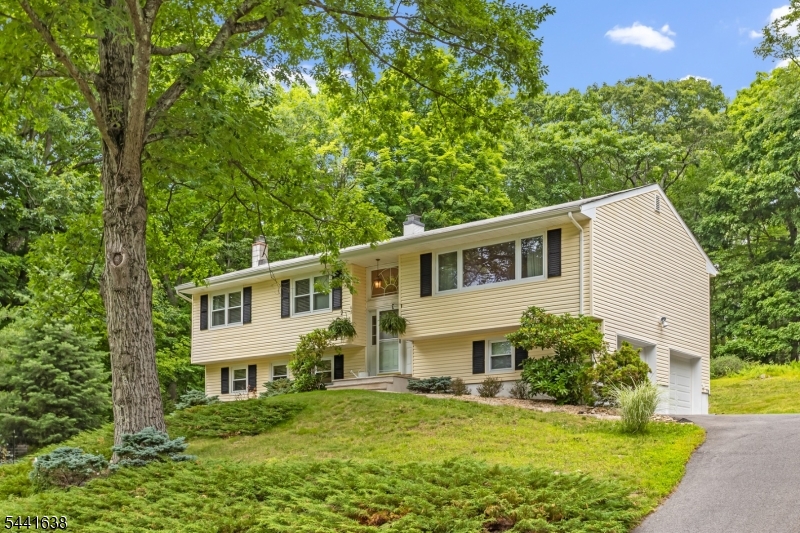 Spacious 3-bedroom Bi-Level with a 2-car garage located in the desirable Fawnridge section of Long Valley. This well-maintained home offers generous living space, abundant storage, and a wonderful setting backing to a private wooded area. The main level features a bright and open layout with a spacious living area and a kitchen with direct access to the rear deck, perfect for enjoying your morning coffee while overlooking the peaceful backyard. Originally purchased as a 4-bedroom home, the current owners opened the space to create a larger and more functional main living area. The ground level provides exceptional flexibility with a large family room featuring a wood-burning stove, a second full bath, and an additional sitting area with sliders leading to the backyard patio. Whether you're entertaining, working from home, or simply looking for extra living space, this level offers endless possibilities. Additional highlights include Central Air, Natural Gas, Public Water, and Public Sewer. Residents also enjoy access to a neighborhood playground maintained by the Fawnridge Association. Offering space, comfort, and a fantastic location, this home is ready for its next owner to enjoy.