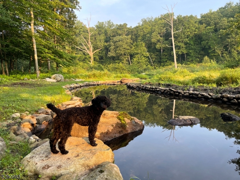 Bear Rock Estates - Residential
